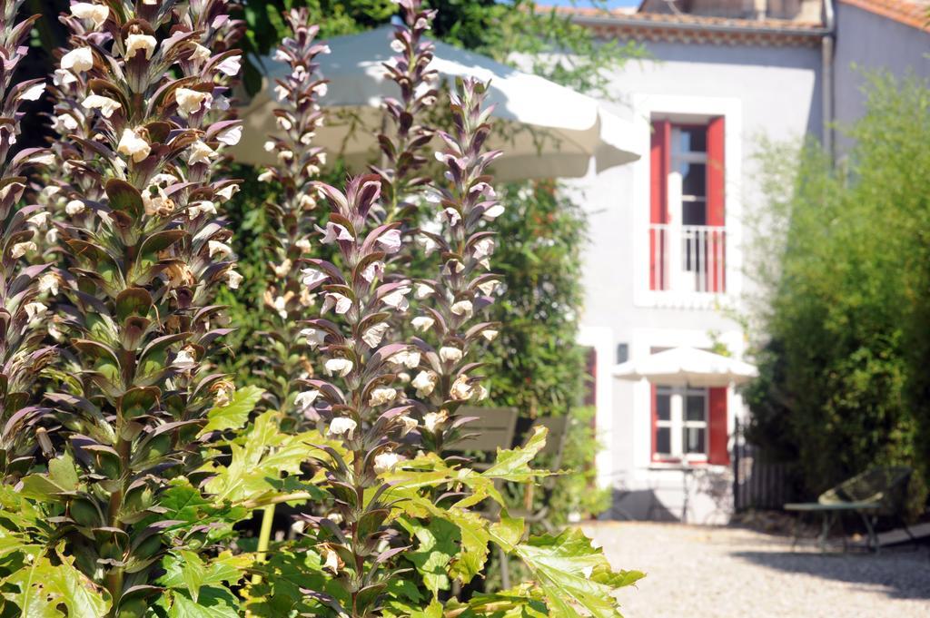 Les Chambres D'Andrea Marseillan  Eksteriør billede